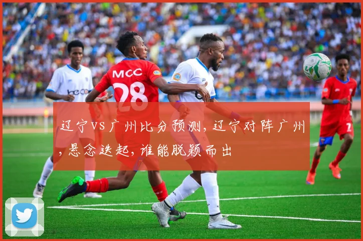 辽宁vs广州比分预测,辽宁对阵广州,悬念迭起,谁能脱颖而出